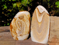 Polished Picture Stone Jasper Standing Free Forms x 2 From Ais-Ais, Namibia - Toprock Gemstones and Minerals 