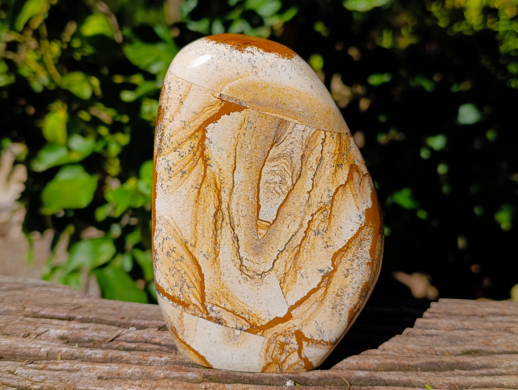 Polished Picture Stone Jasper Standing Free Forms x 2 From Ais-Ais, Namibia - Toprock Gemstones and Minerals 