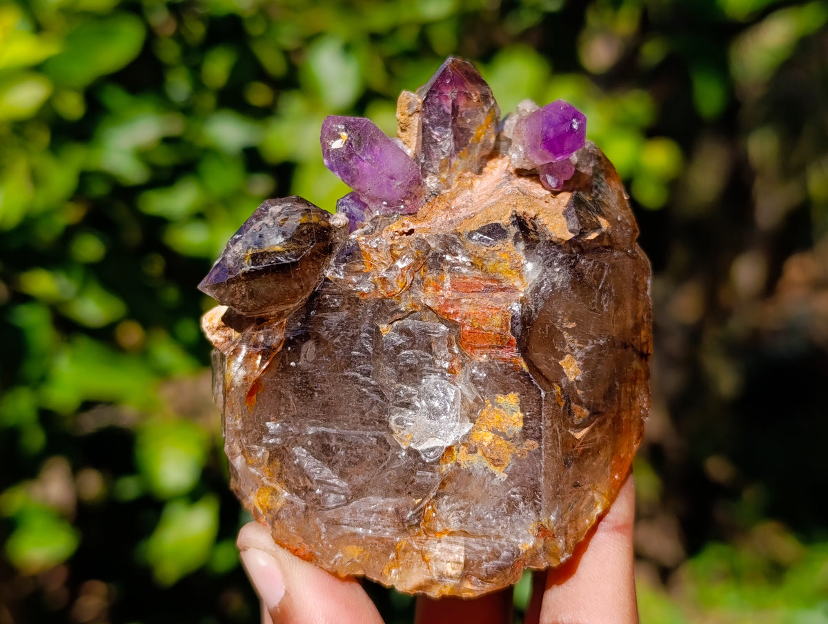 Natural Hand Made Chiredzi Amethyst Conglomerate Specimens x 6 From Zimbabwe - Toprock Gemstones and Minerals 
