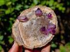 Natural Hand Made Chiredzi Amethyst Conglomerate Specimens x 6 From Zimbabwe - Toprock Gemstones and Minerals 
