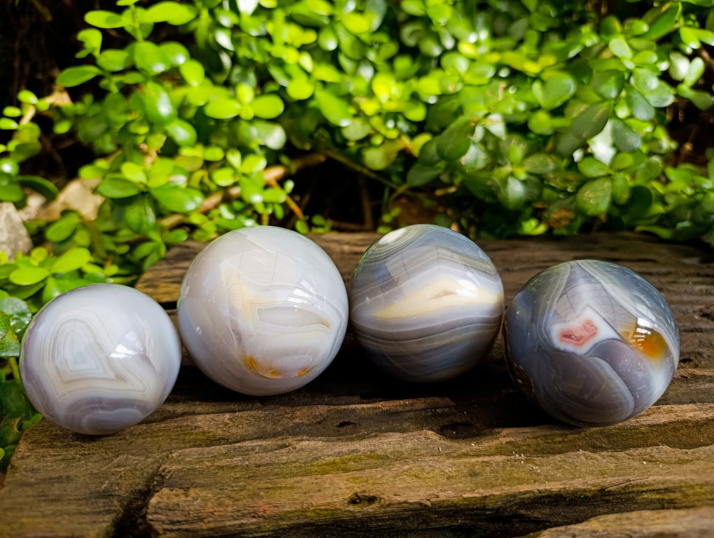 Polished Banded Agate Spheres x 4 From Madagascar - Toprock Gemstones and Minerals 