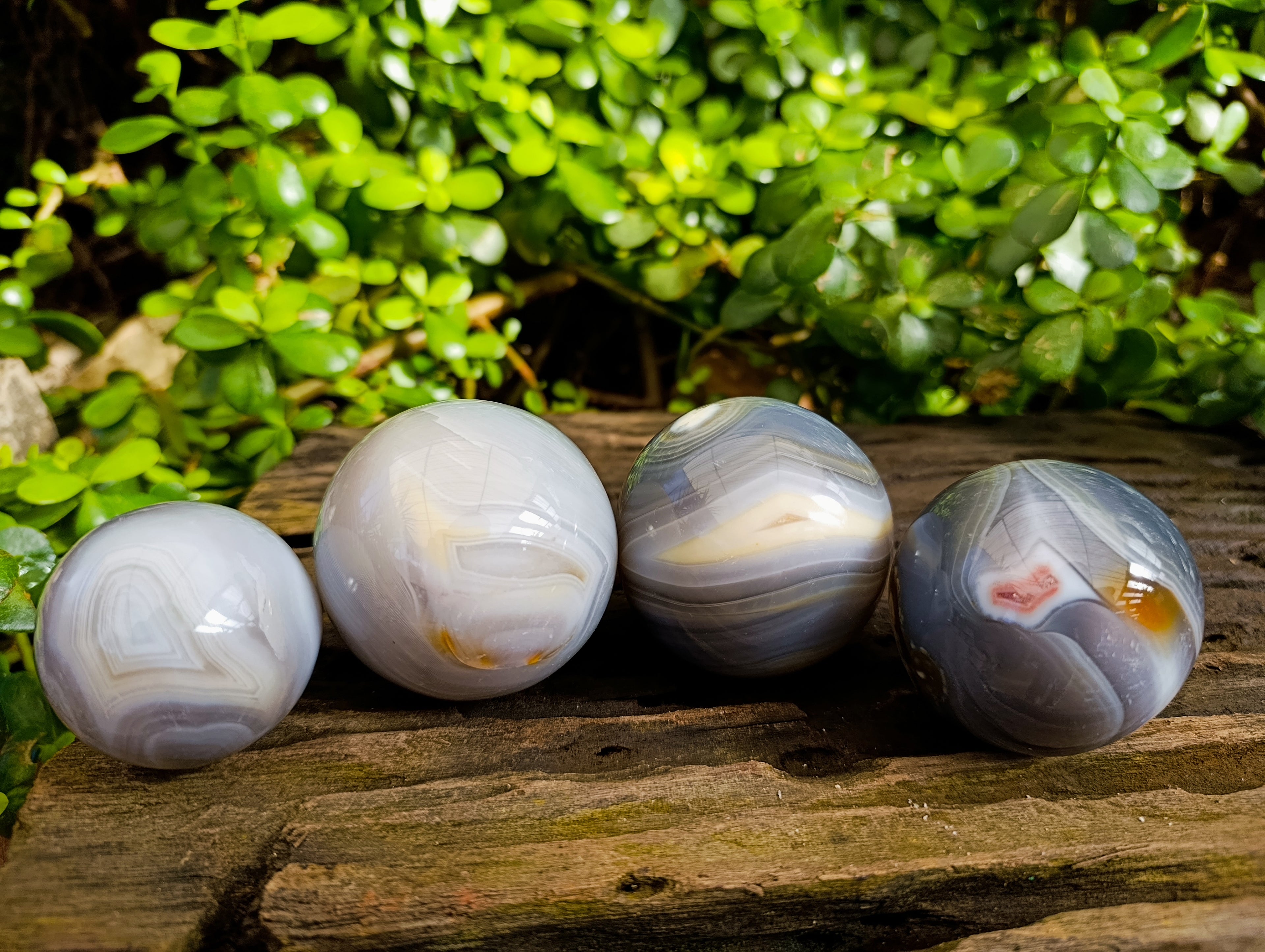 Polished Banded Agate Spheres x 4 From Madagascar - Toprock Gemstones and Minerals 