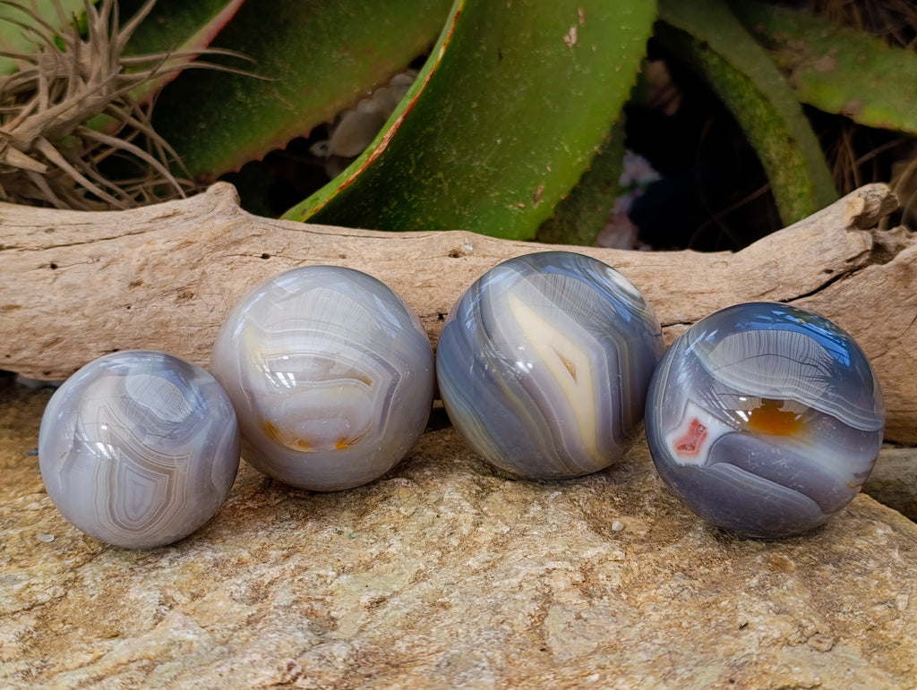 Polished Banded Agate Spheres x 4 From Madagascar - Toprock Gemstones and Minerals 
