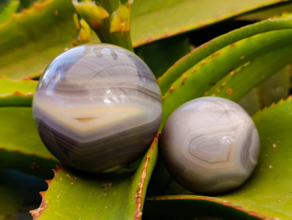 Polished Banded Agate Spheres x 4 From Madagascar - Toprock Gemstones and Minerals 