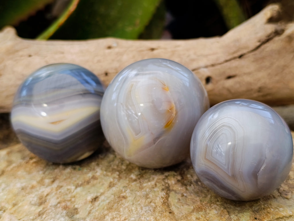Polished Banded Agate Spheres x 4 From Madagascar - Toprock Gemstones and Minerals 