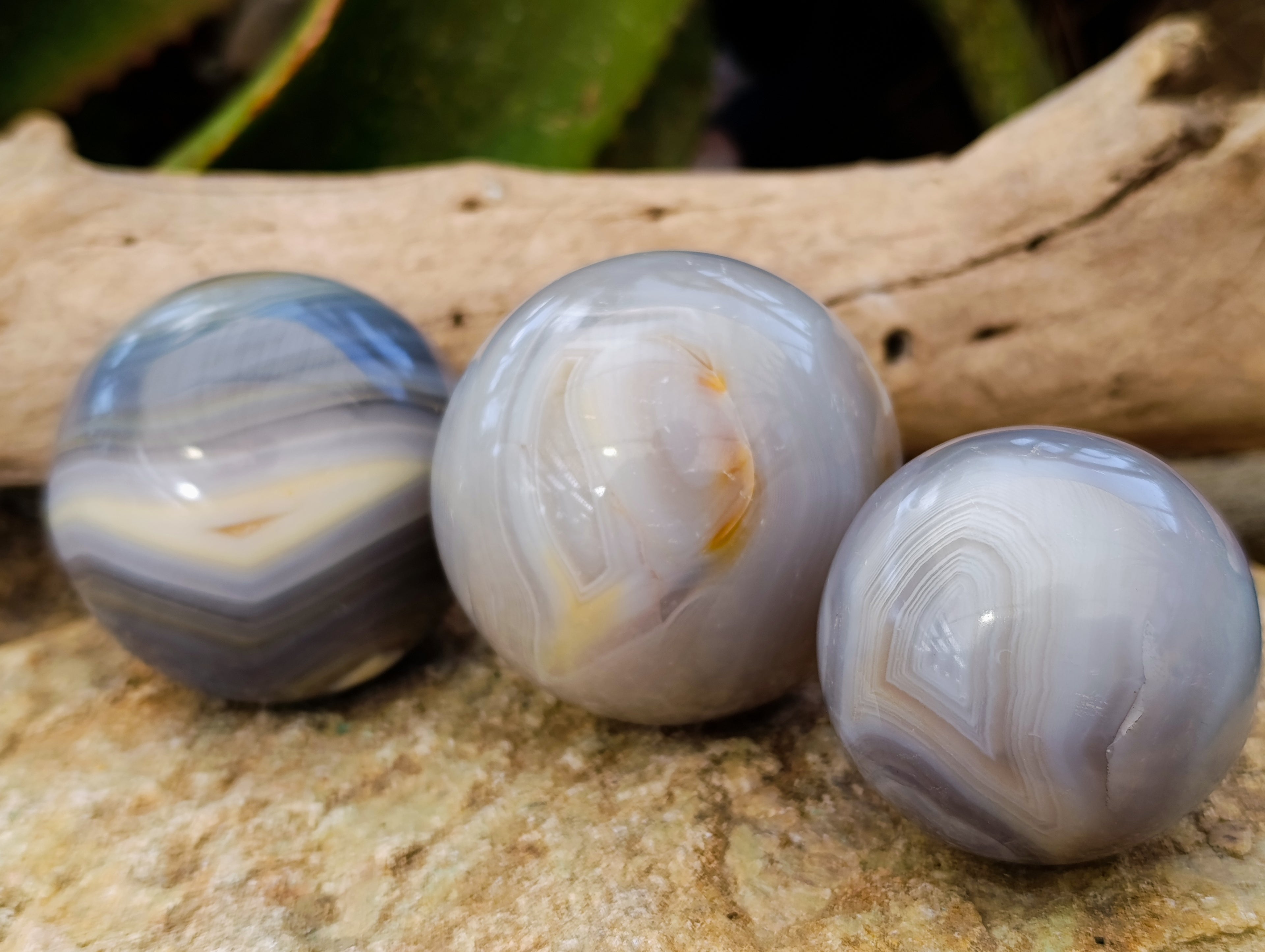 Polished Banded Agate Spheres x 4 From Madagascar - Toprock Gemstones and Minerals 