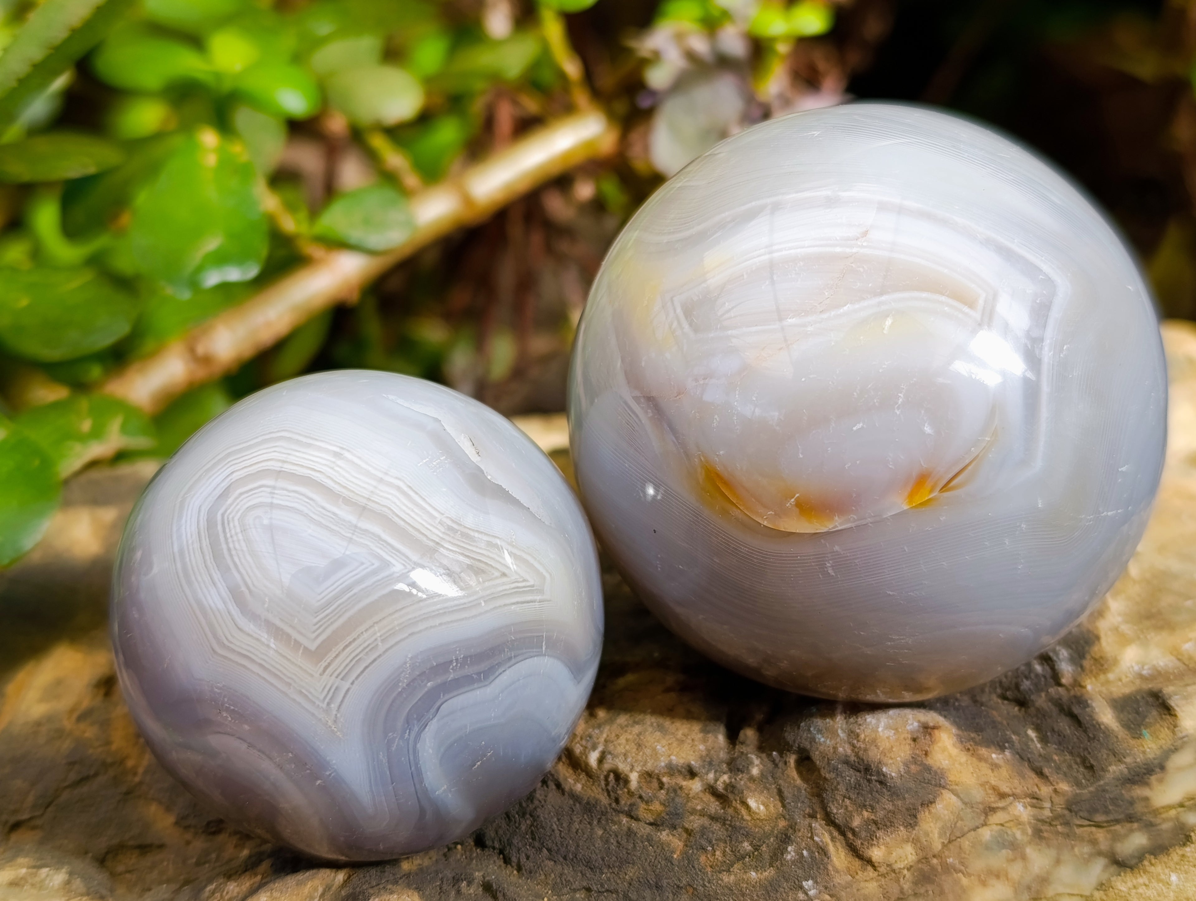 Polished Banded Agate Spheres x 4 From Madagascar - Toprock Gemstones and Minerals 