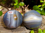 Polished Banded Agate Spheres x 4 From Madagascar - Toprock Gemstones and Minerals 