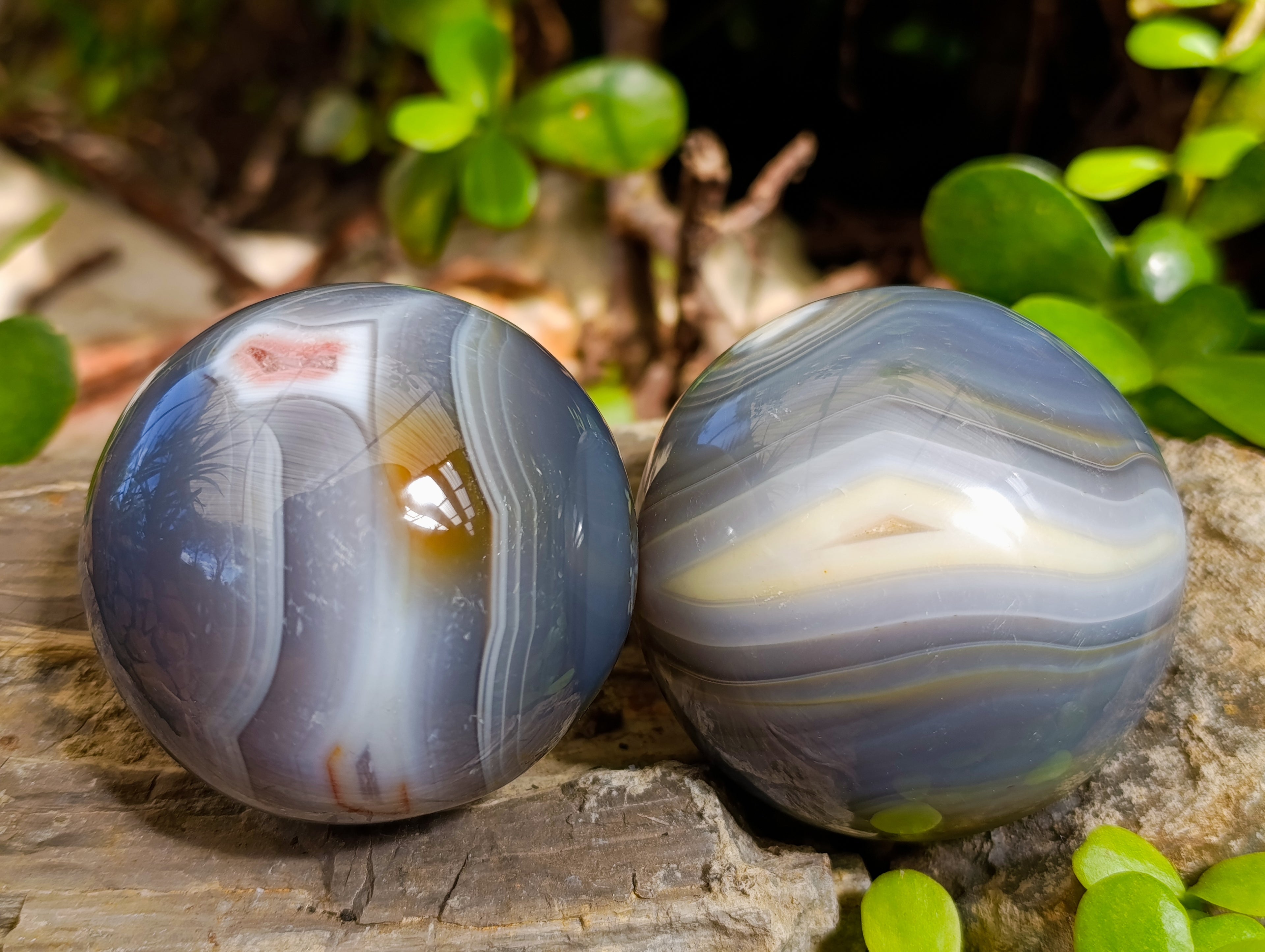Polished Banded Agate Spheres x 4 From Madagascar - Toprock Gemstones and Minerals 