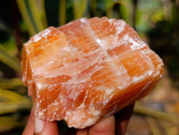 Natural Rhombohedral Sunset Orange Calcite Specimens x 12 From Spitzkop, Namibia - Toprock Gemstones and Minerals 