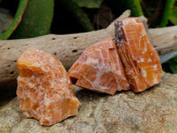 Natural Rhombohedral Sunset Orange Calcite Specimens x 12 From Spitzkop, Namibia - Toprock Gemstones and Minerals 