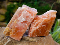 Natural Rhombohedral Sunset Orange Calcite Specimens x 12 From Spitzkop, Namibia - Toprock Gemstones and Minerals 