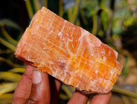 Natural Rhombohedral Sunset Orange Calcite Specimens x 12 From Spitzkop, Namibia - Toprock Gemstones and Minerals 
