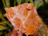 Natural Rhombohedral Sunset Orange Calcite Specimens x 12 From Spitzkop, Namibia - Toprock Gemstones and Minerals 