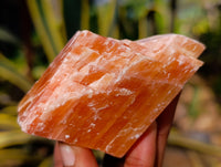 Natural Rhombohedral Sunset Orange Calcite Specimens x 12 From Spitzkop, Namibia - Toprock Gemstones and Minerals 