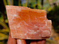 Natural Rhombohedral Sunset Orange Calcite Specimens x 12 From Spitzkop, Namibia - Toprock Gemstones and Minerals 