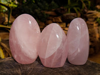 Polished Rose Quartz Standing Free Forms x 3 From Ambatondrazaka, Madagascar - Toprock Gemstones and Minerals 