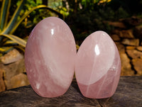 Polished Rose Quartz Standing Free Forms x 3 From Ambatondrazaka, Madagascar - Toprock Gemstones and Minerals 