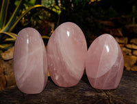 Polished Rose Quartz Standing Free Forms x 3 From Ambatondrazaka, Madagascar - Toprock Gemstones and Minerals 