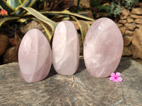 Polished Rose Quartz Standing Free Forms x 3 From Ambatondrazaka, Madagascar - Toprock Gemstones and Minerals 