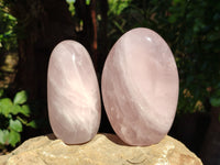 Polished Rose Quartz Standing Free Forms x 3 From Ambatondrazaka, Madagascar - Toprock Gemstones and Minerals 