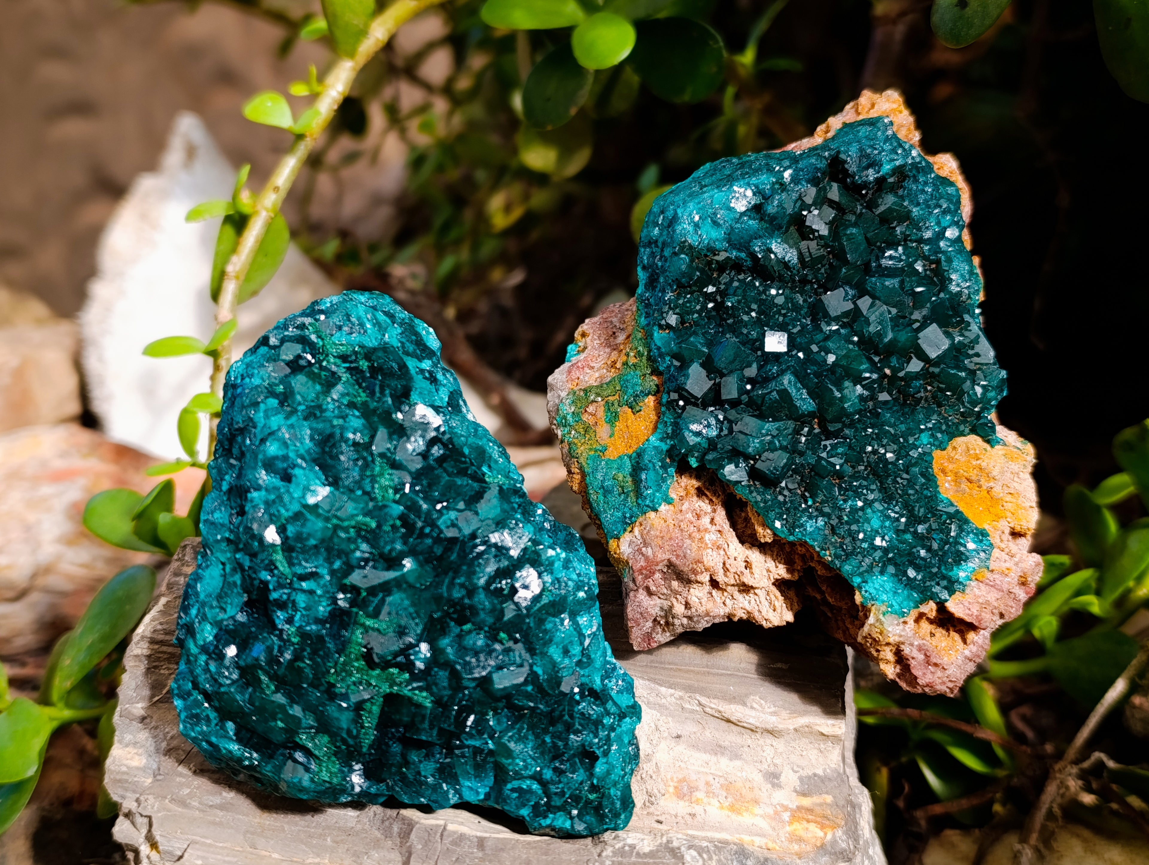 Natural Dioptase On Dolomite with Malachite Specimens x 2 From Likasi, Congo - Toprock Gemstones and Minerals 