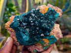 Natural Dioptase On Dolomite with Malachite Specimens x 2 From Likasi, Congo - Toprock Gemstones and Minerals 