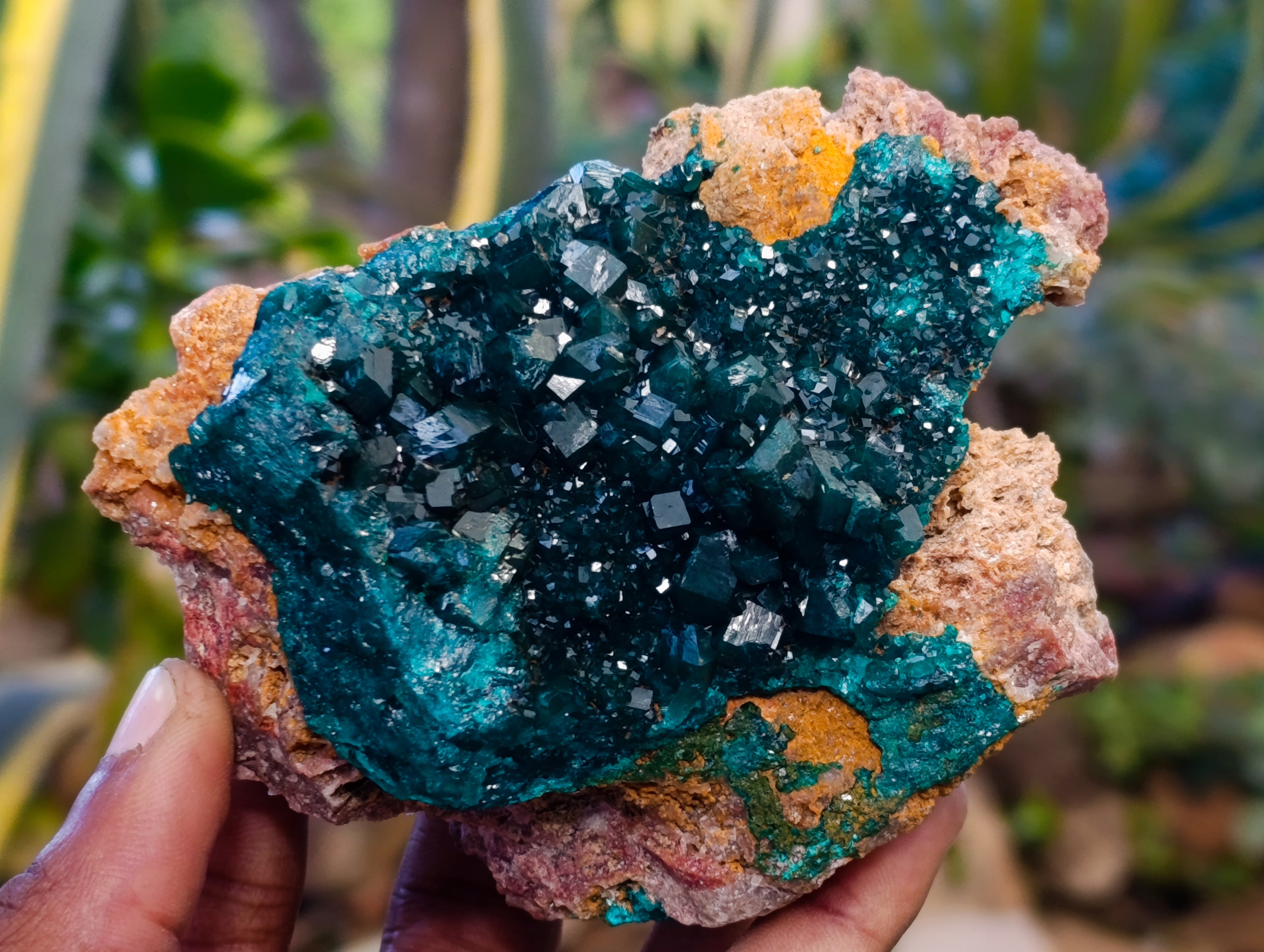 Natural Dioptase On Dolomite with Malachite Specimens x 2 From Likasi, Congo - Toprock Gemstones and Minerals 