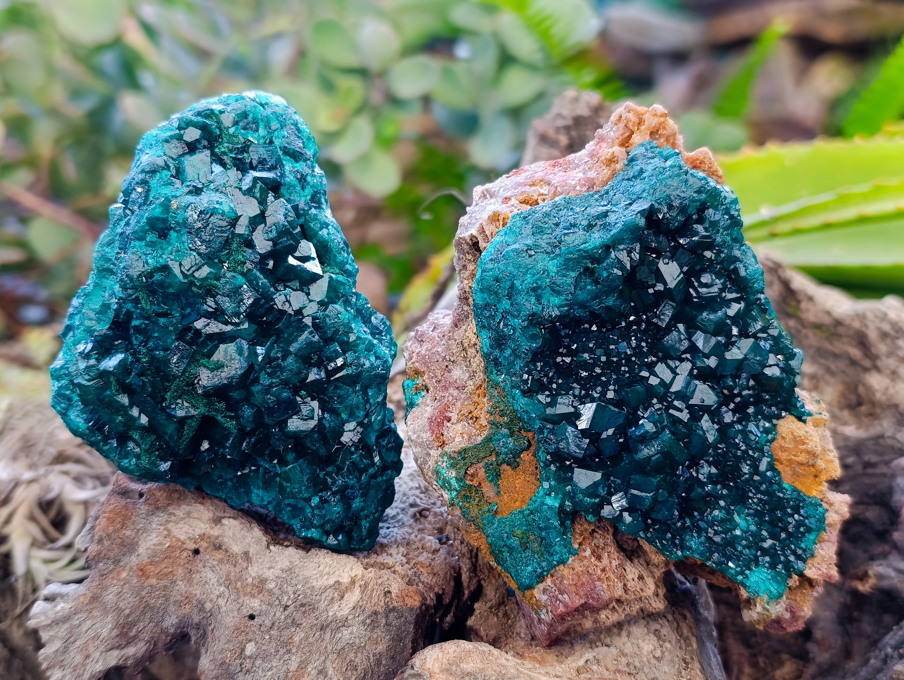 Natural Dioptase On Dolomite with Malachite Specimens x 2 From Likasi, Congo - Toprock Gemstones and Minerals 