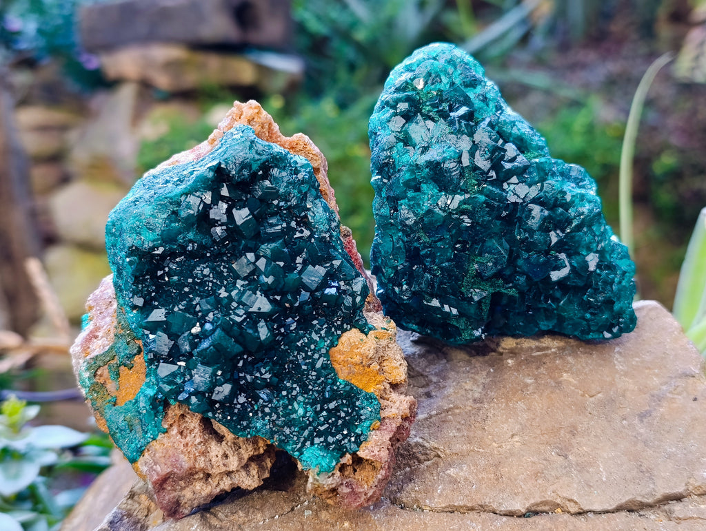 Natural Dioptase On Dolomite with Malachite Specimens x 2 From Likasi, Congo - Toprock Gemstones and Minerals 