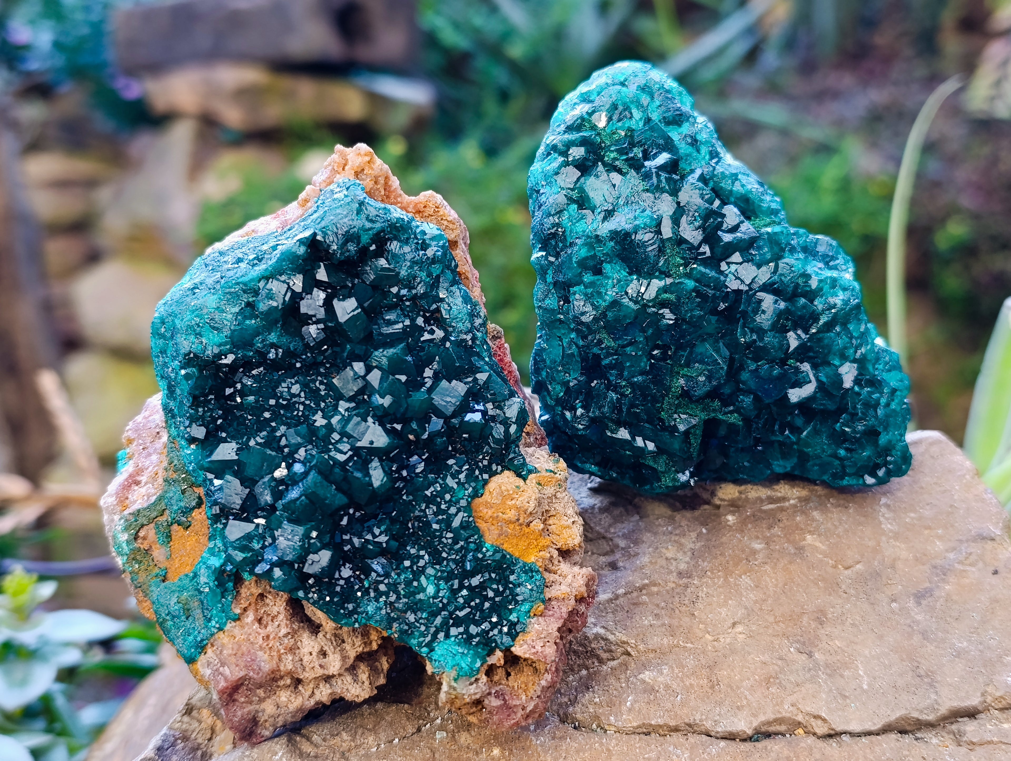Natural Dioptase On Dolomite with Malachite Specimens x 2 From Likasi, Congo - Toprock Gemstones and Minerals 