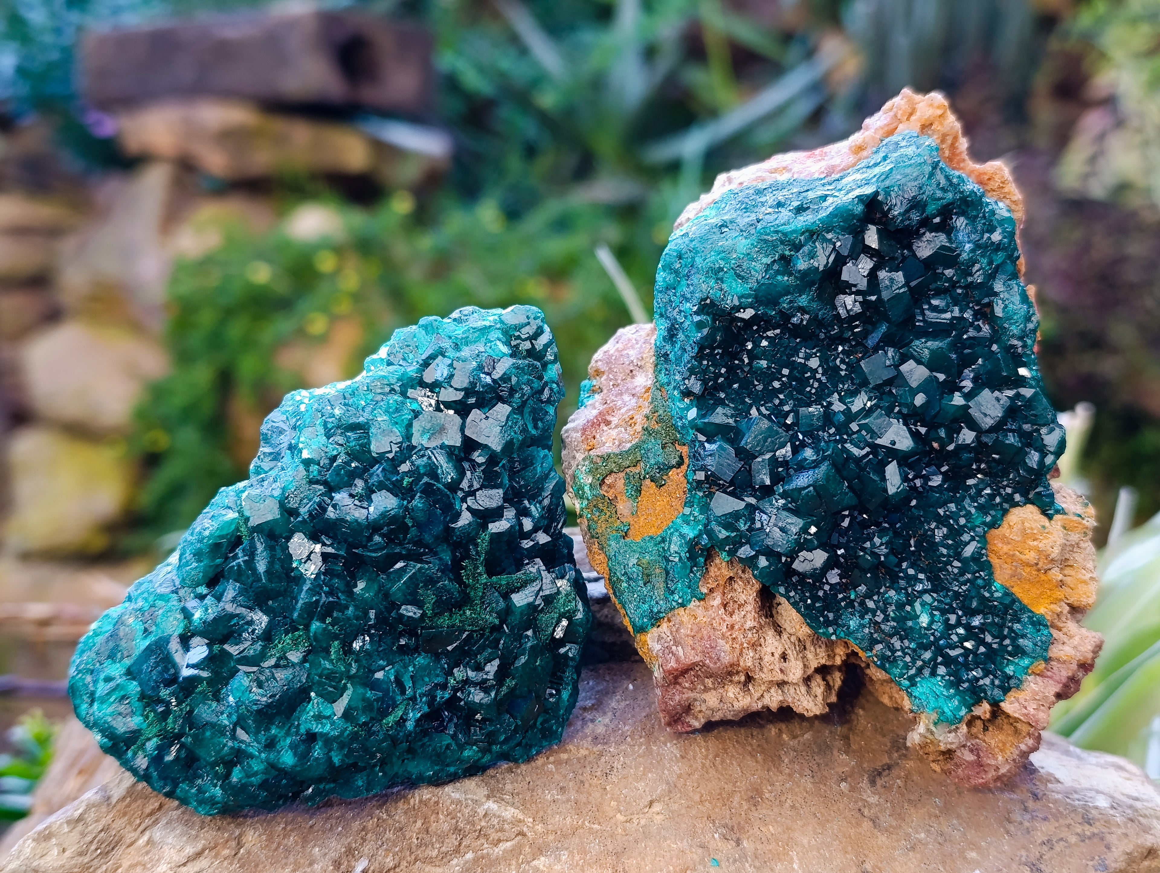 Natural Dioptase On Dolomite with Malachite Specimens x 2 From Likasi, Congo - Toprock Gemstones and Minerals 