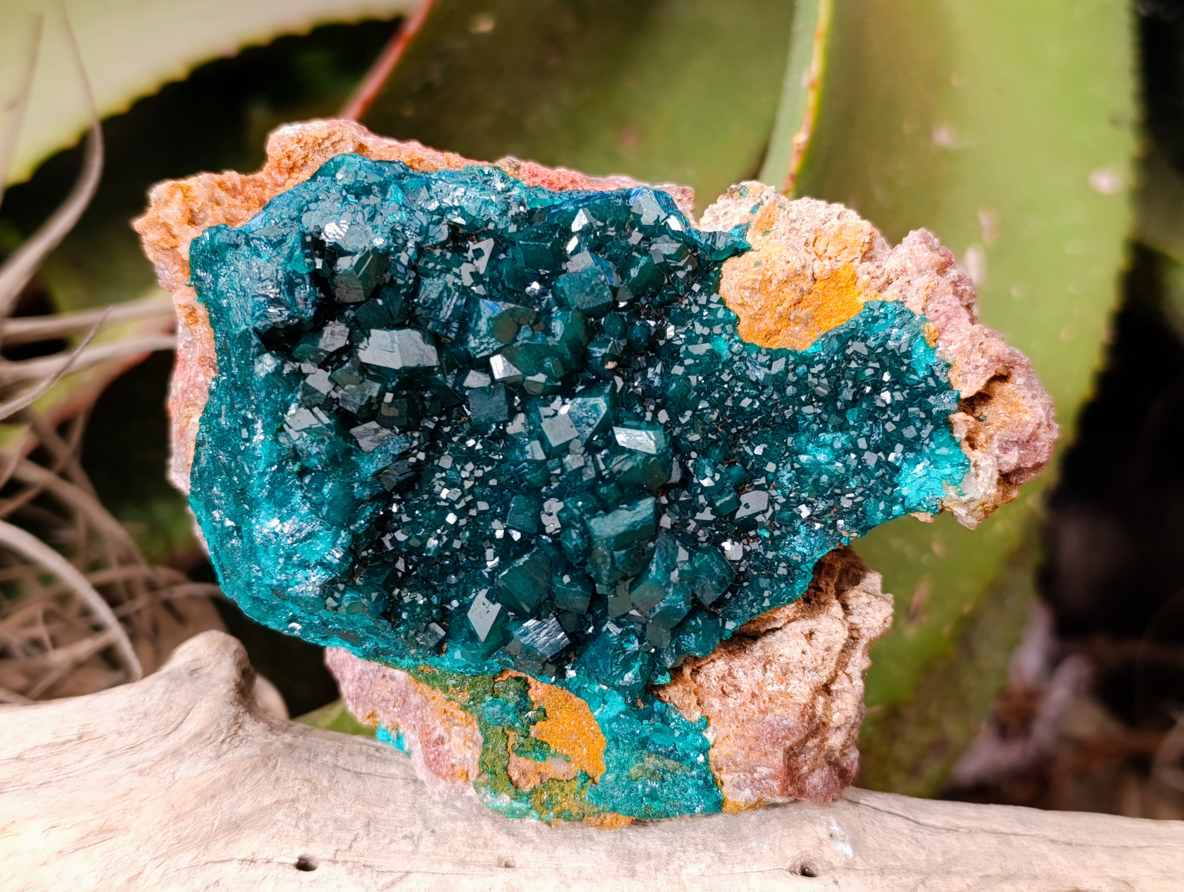 Natural Dioptase On Dolomite with Malachite Specimens x 2 From Likasi, Congo - Toprock Gemstones and Minerals 