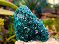 Natural Dioptase On Dolomite with Malachite Specimens x 2 From Likasi, Congo - Toprock Gemstones and Minerals 