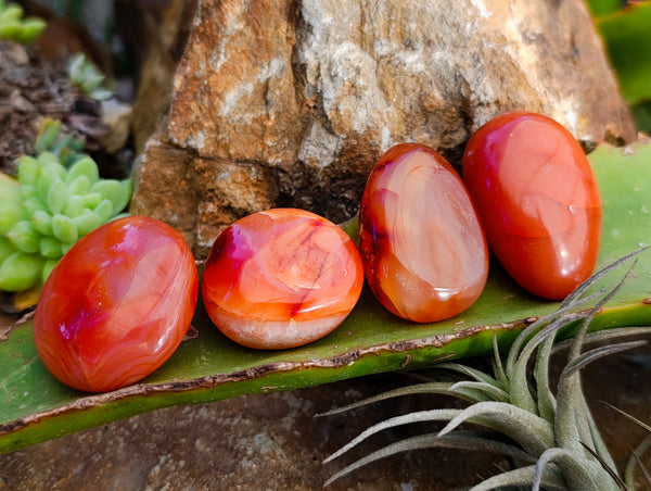 Polished Small Carnelian Agate 
