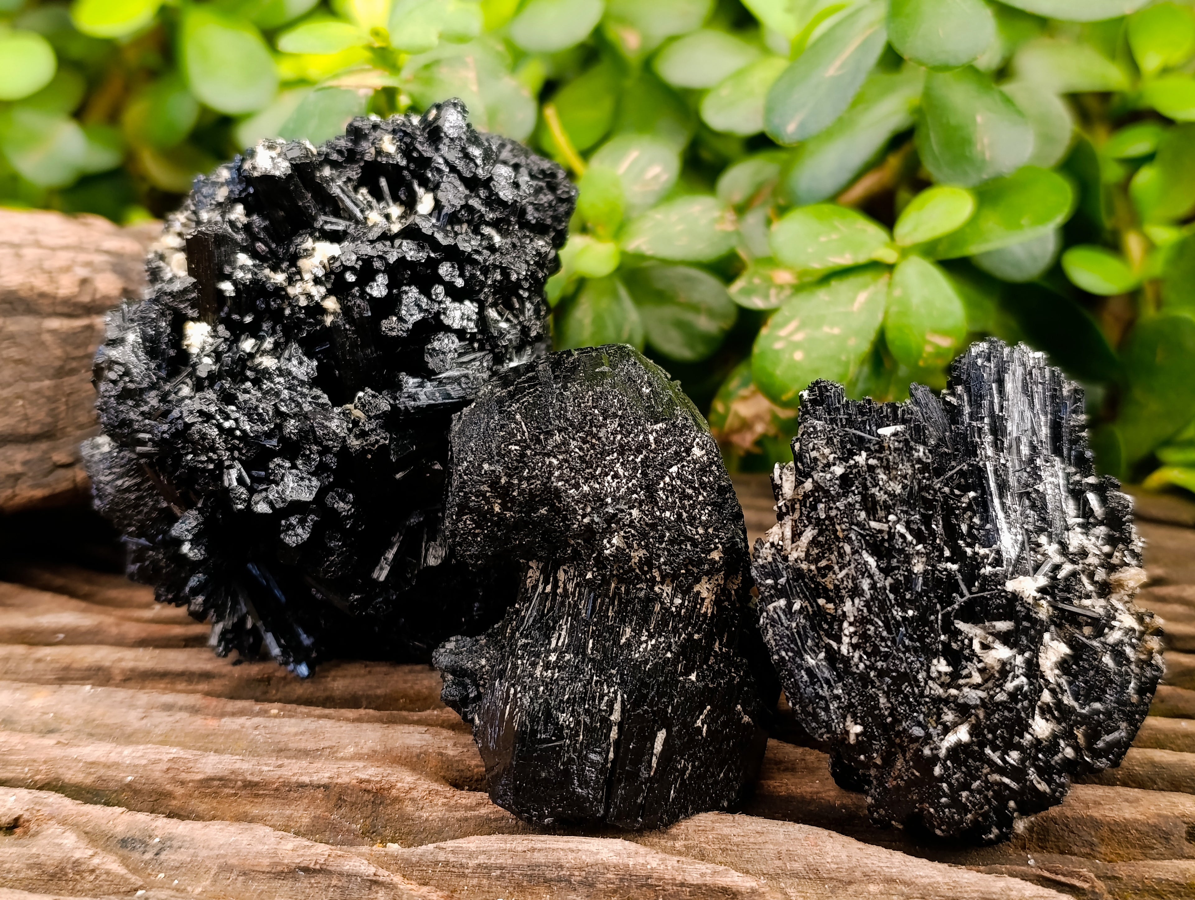 Natural Schorl Black Tourmaline with Fibrous and Needle Formations and Hyalite Opal x 6 From Erongo, Namibia - Toprock Gemstones and Minerals 