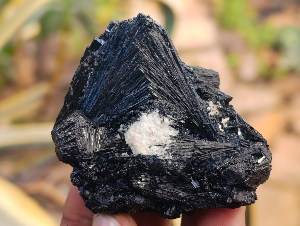 Natural Schorl Black Tourmaline with Fibrous and Needle Formations and Hyalite Opal x 6 From Erongo, Namibia - Toprock Gemstones and Minerals 