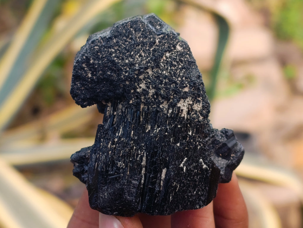 Natural Schorl Black Tourmaline with Fibrous and Needle Formations and Hyalite Opal x 6 From Erongo, Namibia - Toprock Gemstones and Minerals 