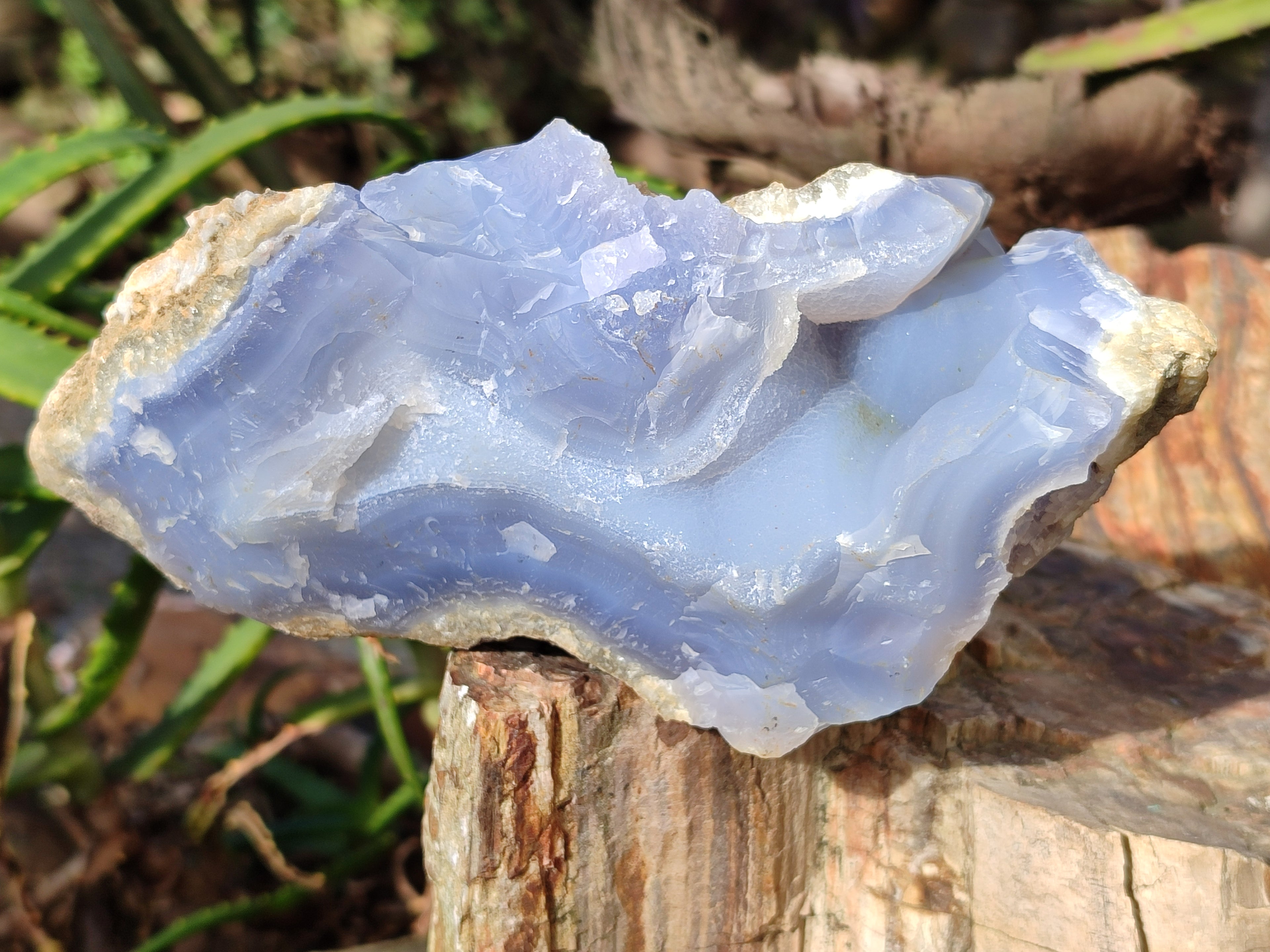 Natural Blue Lace Agate Geodes x 4 From Nsanje, Malawi - Toprock Gemstones and Minerals 