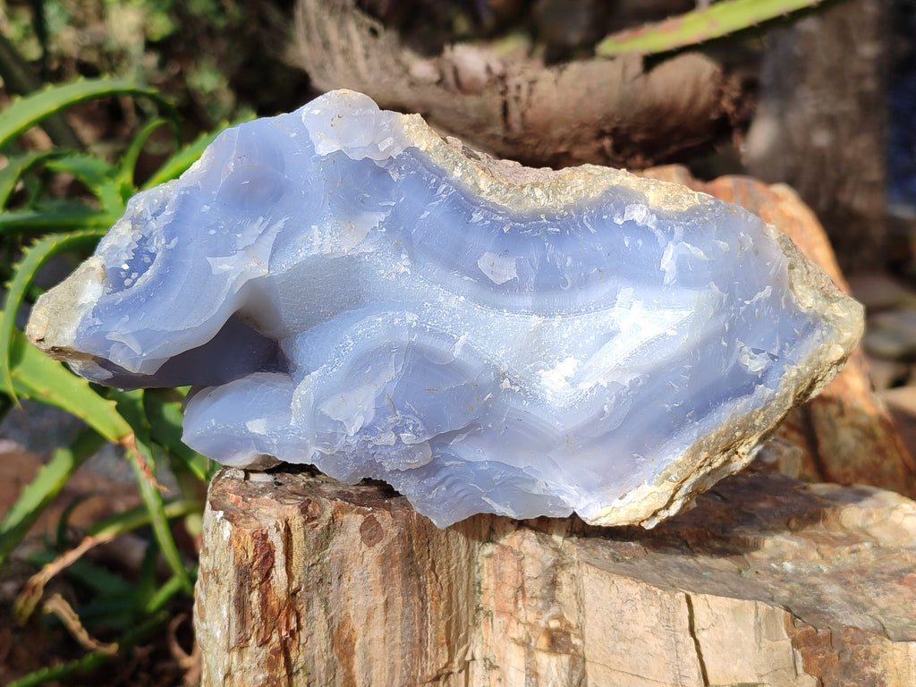 Natural Blue Lace Agate Geodes x 4 From Nsanje, Malawi - Toprock Gemstones and Minerals 