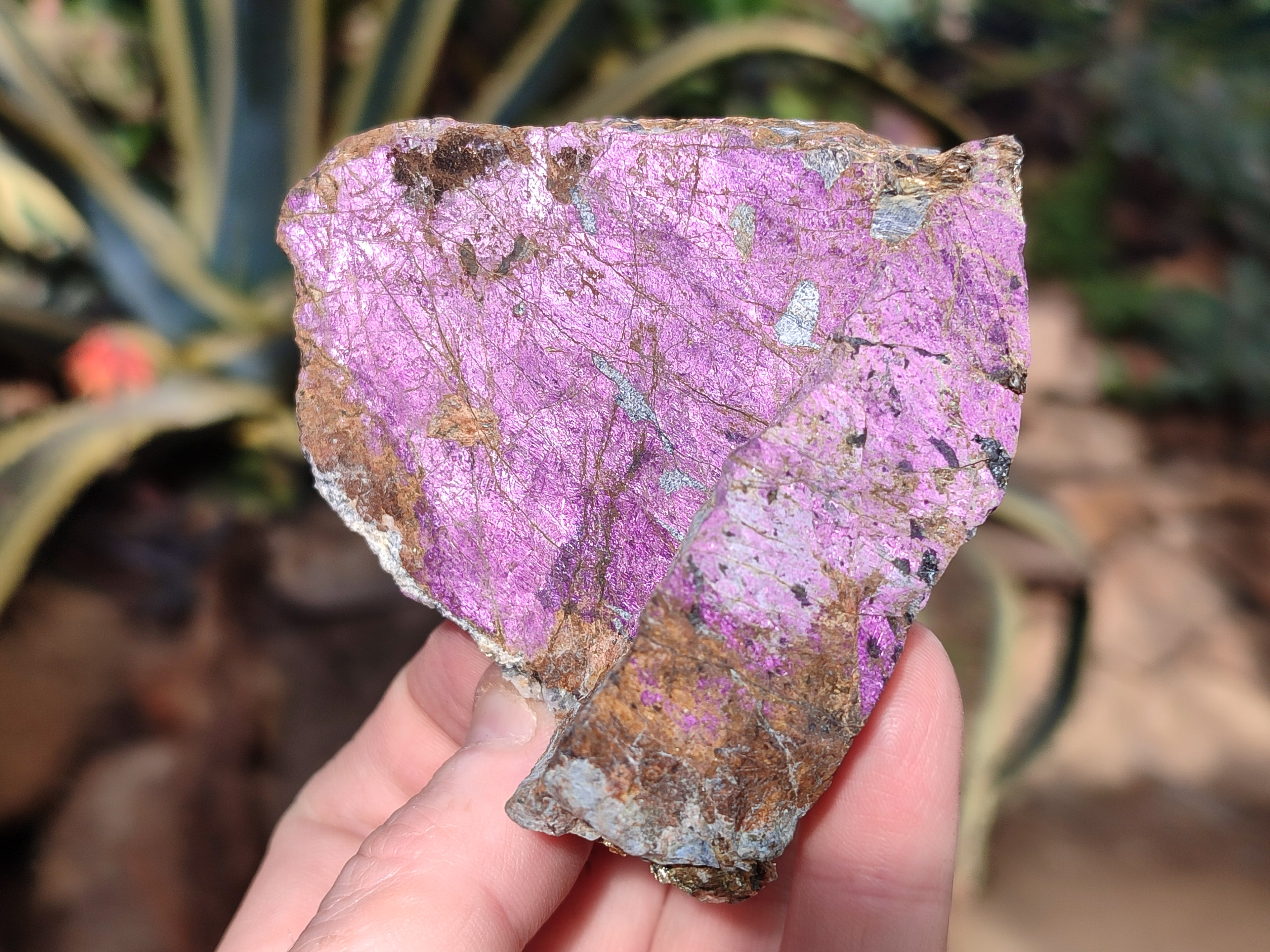 Natural Metallic Purpurite Cobbed Specimens x 6 From Erongo, Namibia - Toprock Gemstones and Minerals 