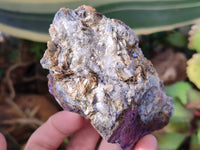Natural Metallic Purpurite Cobbed Specimens x 6 From Erongo, Namibia - Toprock Gemstones and Minerals 