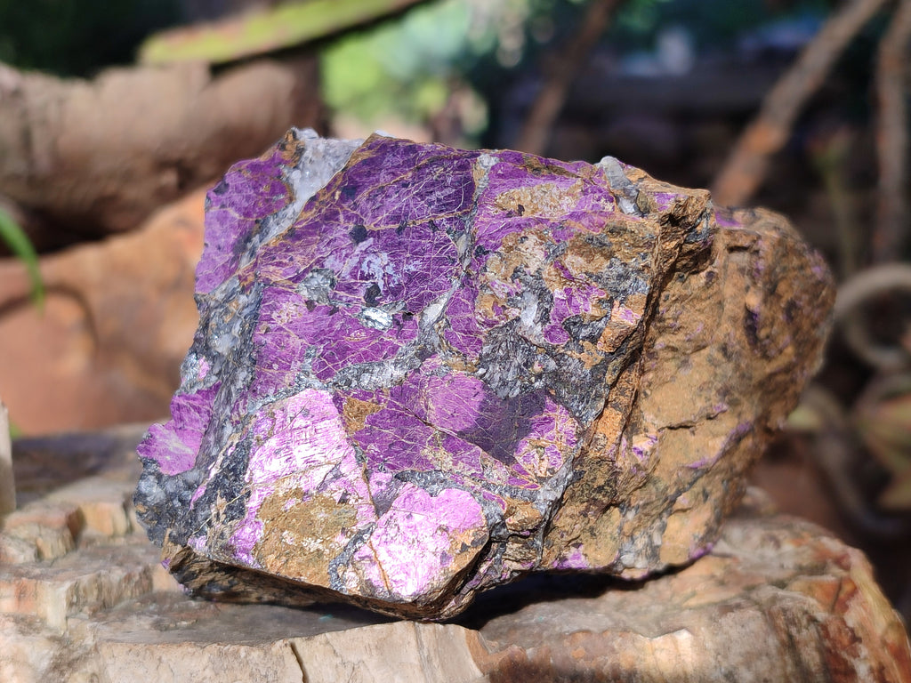 Natural Metallic Purpurite Cobbed Specimens x 6 From Erongo, Namibia - Toprock Gemstones and Minerals 