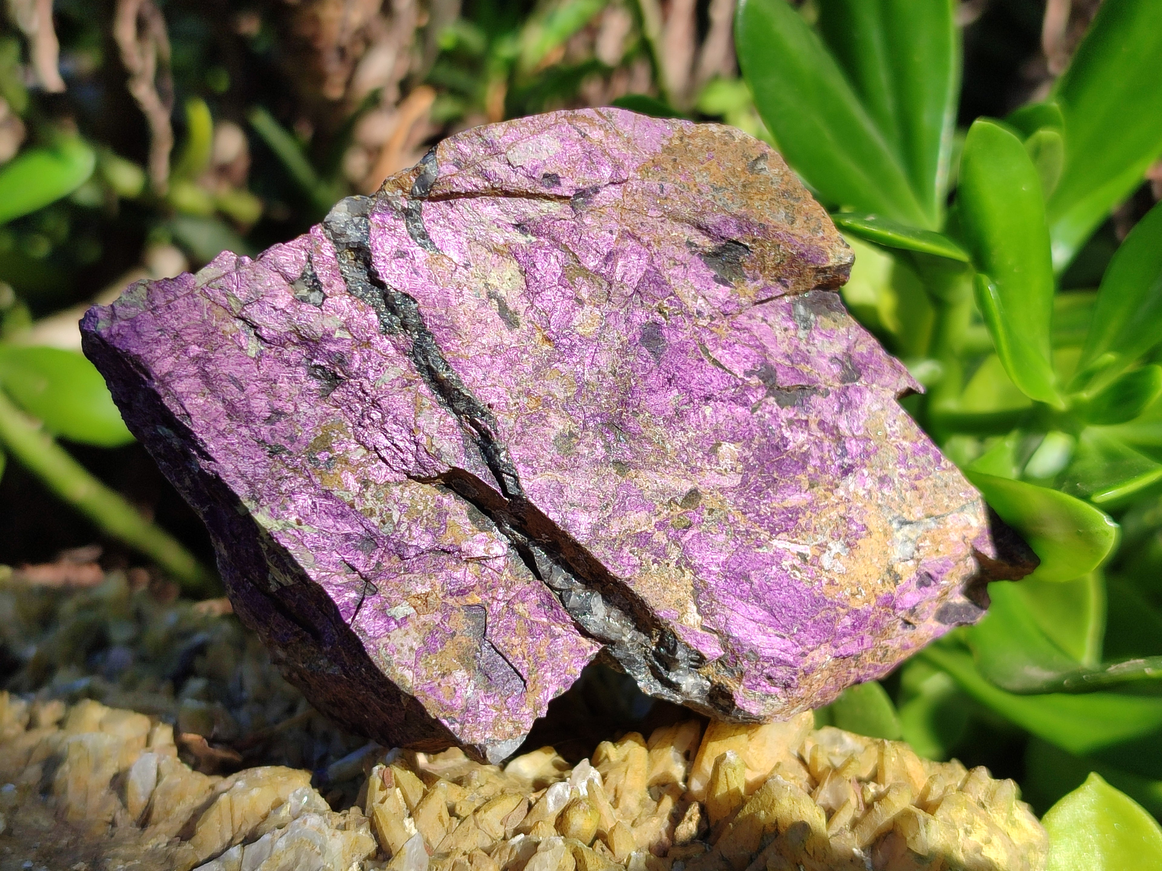 Natural Metallic Purpurite Cobbed Specimens x 6 From Erongo, Namibia - Toprock Gemstones and Minerals 
