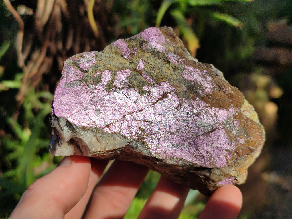 Natural Metallic Purpurite Cobbed Specimens x 6 From Erongo, Namibia - Toprock Gemstones and Minerals 