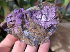 Natural Metallic Purpurite Cobbed Specimens x 6 From Erongo, Namibia - Toprock Gemstones and Minerals 