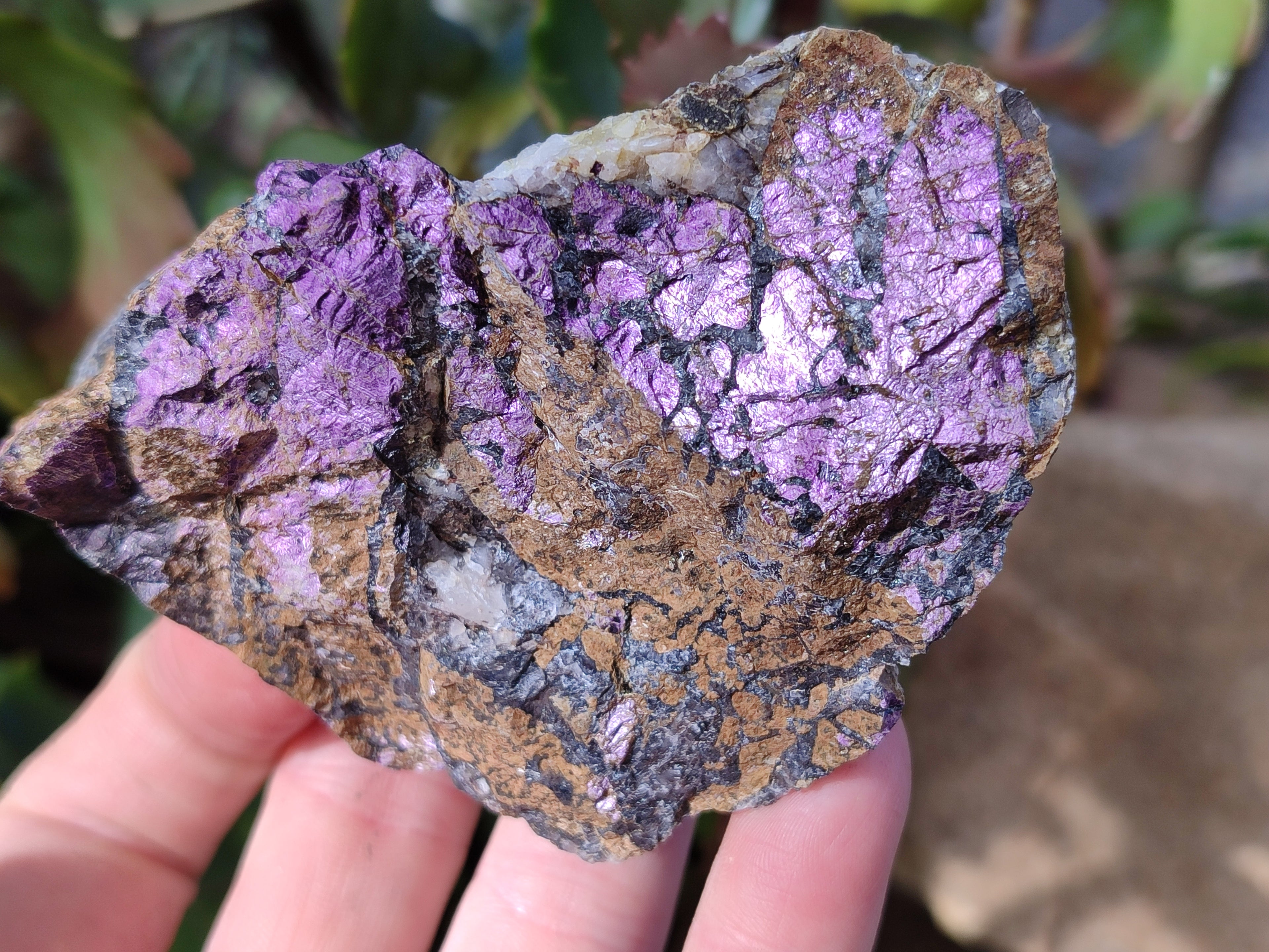 Natural Metallic Purpurite Cobbed Specimens x 6 From Erongo, Namibia - Toprock Gemstones and Minerals 