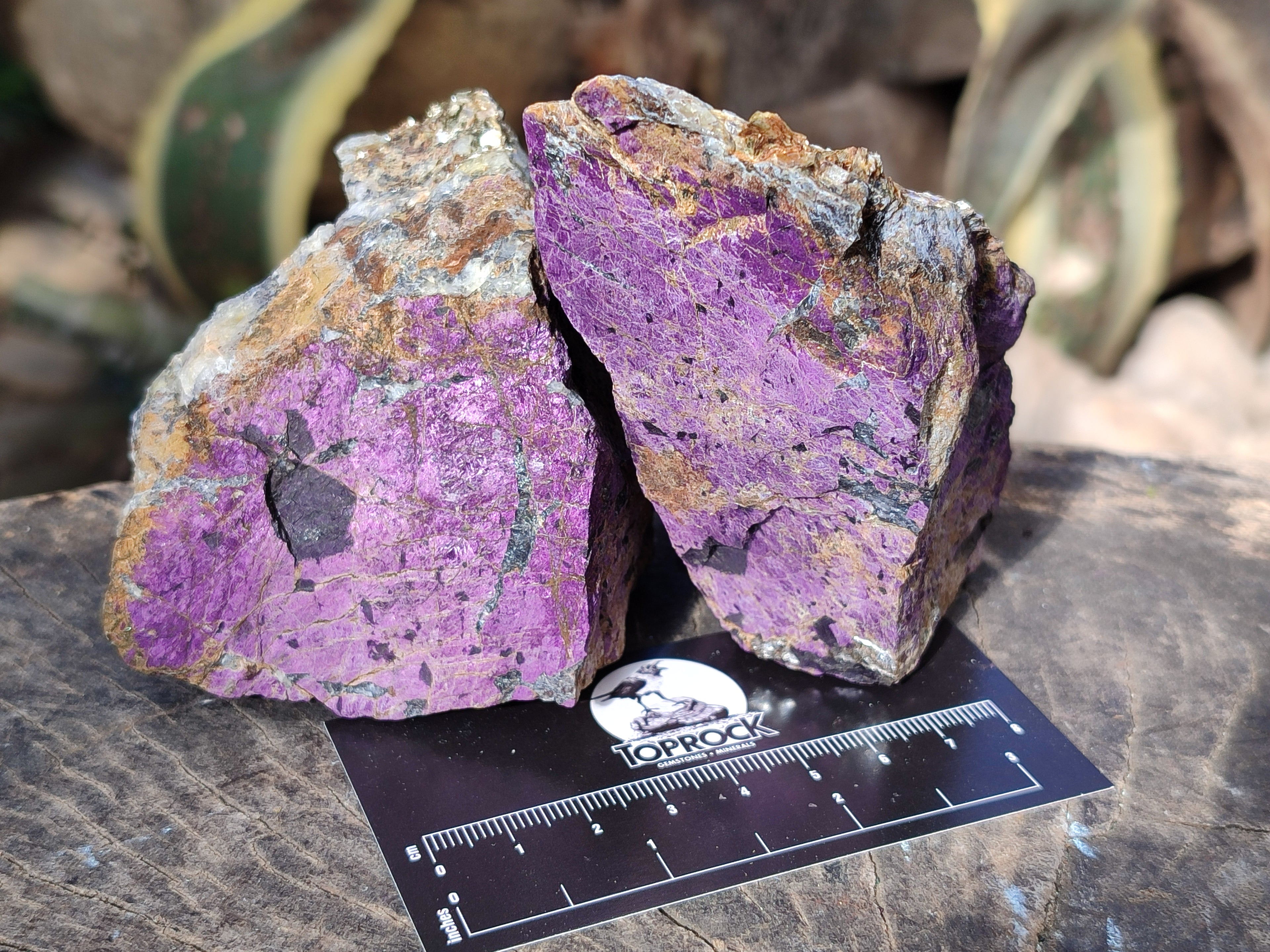 Natural Metallic Purpurite Cobbed Specimens x 6 From Erongo, Namibia - Toprock Gemstones and Minerals 