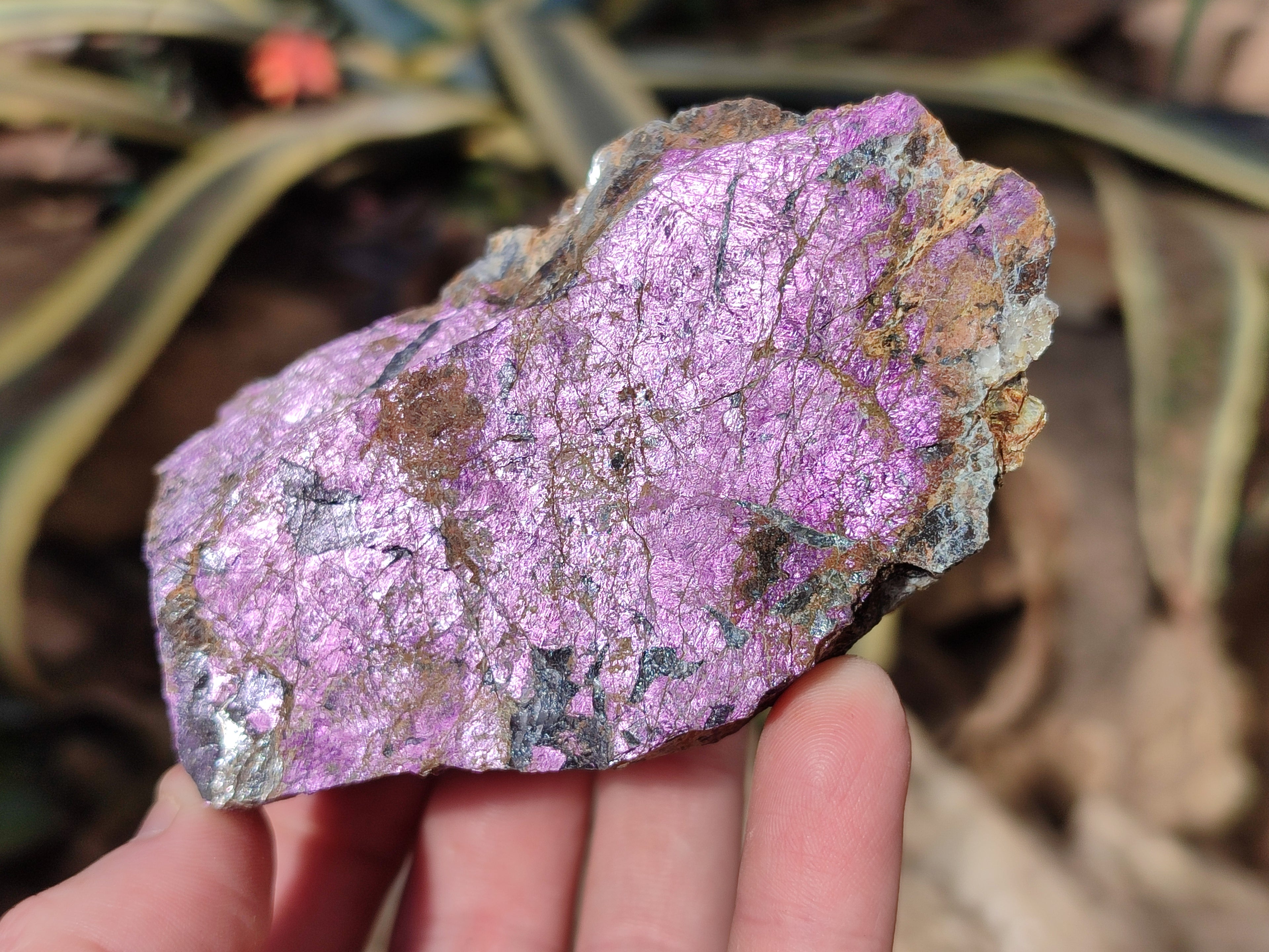 Natural Metallic Purpurite Cobbed Specimens x 6 From Erongo, Namibia - Toprock Gemstones and Minerals 