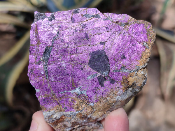 Natural Metallic Purpurite Cobbed Specimens x 6 From Erongo, Namibia